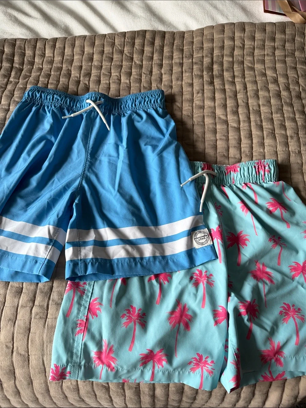 Abercrombie & Fitch Boys Blue Striped and Aqua Pink Palm Swim Trunks